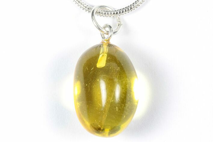 Polished Baltic Amber Pendant (Necklace) - Contains Fly! #357982